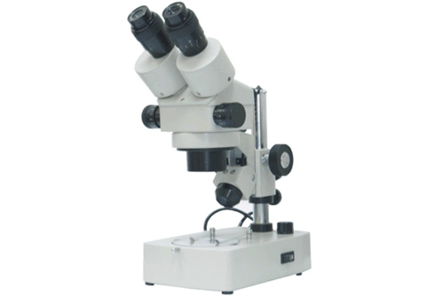 XTL-2400体视显微镜